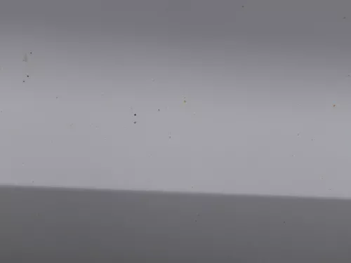 Polo 6R 6C Tür vorne rechts Beifahrertür 2/3-Türer weiß LB9A -ohne Anbauteile (184494)