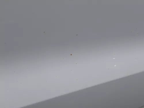 Polo 6R 6C Tür vorne rechts Beifahrertür 2/3-Türer weiß LB9A -ohne Anbauteile (184494)