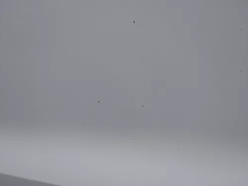 Polo 6R 6C Tür vorne links Fahrertür 2/3-Türer weiß LB9A -ohne Anbauteile (184497)