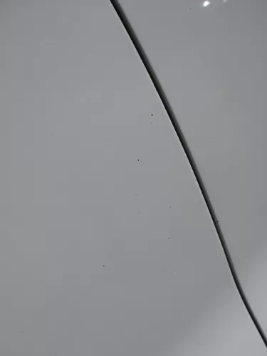 Polo 6R 6C Tür vorne links Fahrertür 2/3-Türer weiß LB9A -ohne Anbauteile (184497)