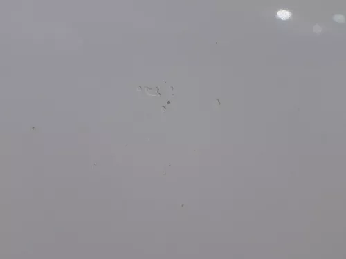 Polo 6R 6C Tür vorne links Fahrertür 2/3-Türer weiß LB9A -ohne Anbauteile (184497)