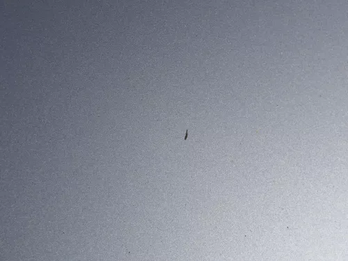 Seat Arosa 6H Facelift Motorhaube Haube Klappe vorne grau silber LS7N (184693)