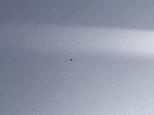 Seat Arosa 6H Facelift Motorhaube Haube Klappe vorne grau silber LS7N (184693)