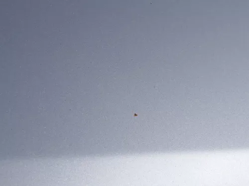 Seat Arosa 6H Facelift Motorhaube Haube Klappe vorne grau silber LS7N (184693)