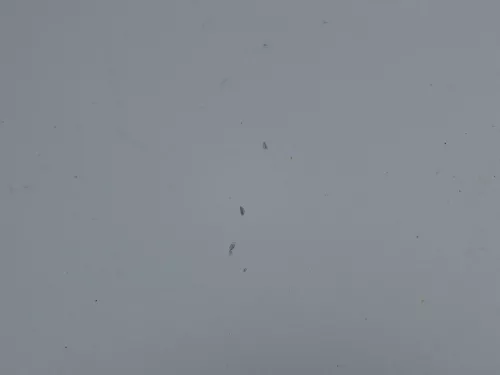 VW Golf 4 Motorhaube Haube Klappe vorne silber grau LA7W grau reflexsilber (184695)