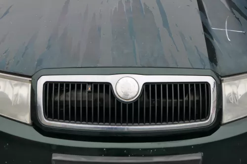 Fabia 6Y Zeichen Kühlergrill Grill Gitter 6Y0853668 grün LF8C Logo