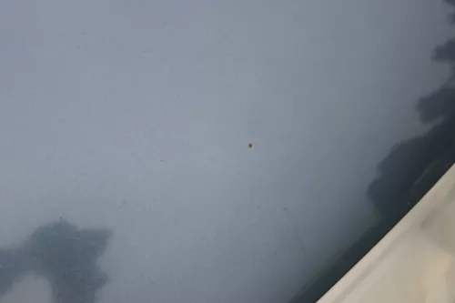 Skoda Fabia 6Y Motorhaube Klappe vorne grau LF7V mit Grill vorn (184794)