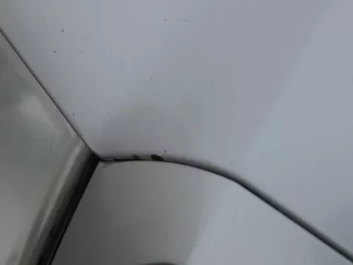 Skoda Fabia 6Y Motorhaube Klappe vorne silber LF7T vorn     (OHNEgrill!) (184846)