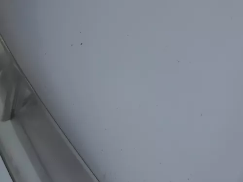 Skoda Fabia 6Y Motorhaube Klappe vorne silber LF7T vorn     (OHNEgrill!) (184846)