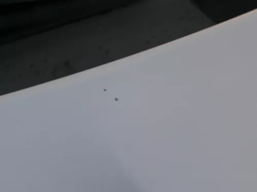 Skoda Fabia 6Y Motorhaube Klappe vorne silber LF7T vorn     (OHNEgrill!) (184846)