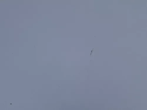 Skoda Fabia 6Y Motorhaube Klappe vorne silber LF7T vorn     (OHNEgrill!) (184846)