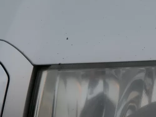 Skoda Fabia 6Y Motorhaube Klappe vorne silber LF7T vorn     (OHNEgrill!) (184846)