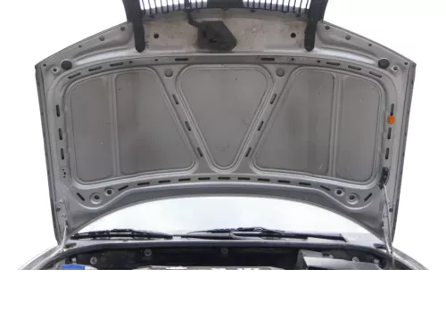 Skoda Fabia 6Y Motorhaube Klappe vorne silber LF7T vorn     (OHNEgrill!) (184846)