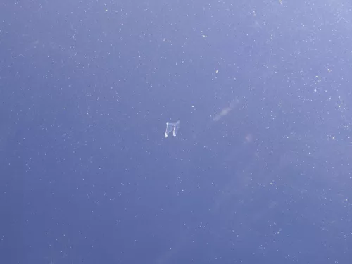 VW Polo 9N Motorhaube Klappe Haube vorne blau LB5N bis ca. Bj. 2004 (184909)