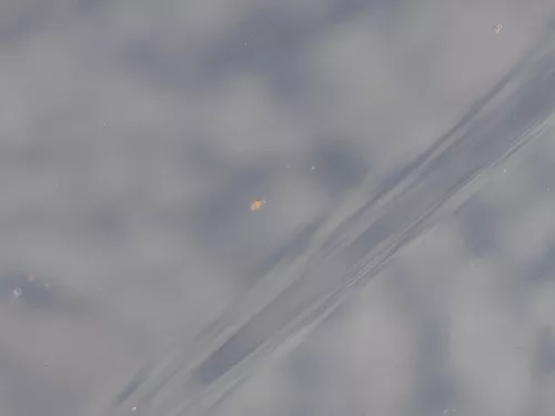 Ford Galaxy Motorhaube Klappe Haube vorne mystik-schwarz Facelift WGR (184926)