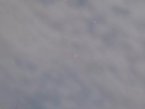 Ford Galaxy Motorhaube Klappe Haube vorne mystik-schwarz Facelift WGR (184926)