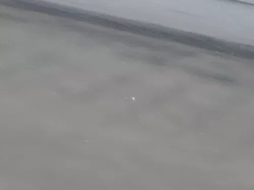 Sharan 7M Tür rechts vorne Beifahrertür schwarz abBj2000 Facelift ohneAnbauteile (184931)