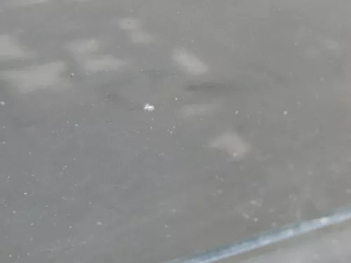 Audi A6 4B C5 Tür nur Türblatt vorne rechts Beifahrertür schwarz LZ9W (184974)