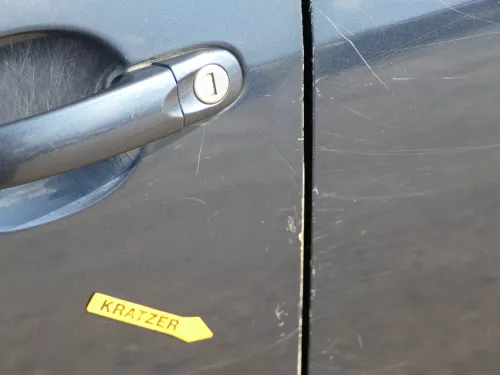 VW Golf Plus 5M Türblatt Tür vorne links Fahrertür grau LC5F -Türblatt +Rahmen (185024)