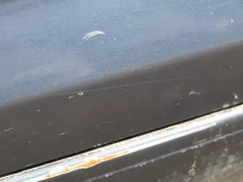 VW Golf Plus 5M Türblatt Tür vorne links Fahrertür grau LC5F -Türblatt +Rahmen (185024)