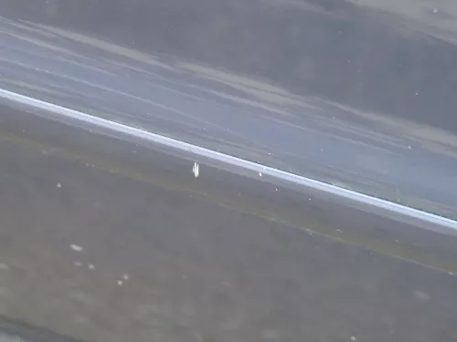 Audi A4 B5 Tür nur Türblatt vorn rechts Beifahrertür blau LZ5T Kombi Limo (185055)