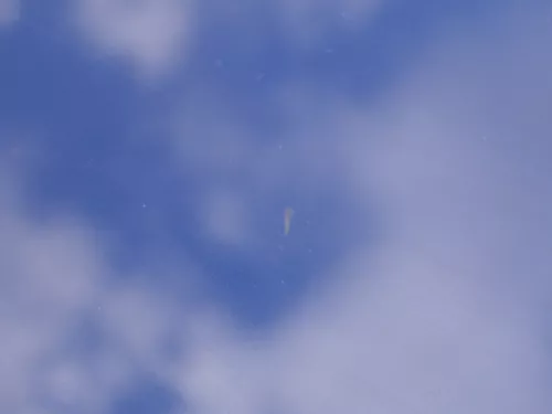 Audi A4 B5 Heckklappe hinten Klappe Kofferraumklappe Limousine blau LZ5T bis1999 (185058)