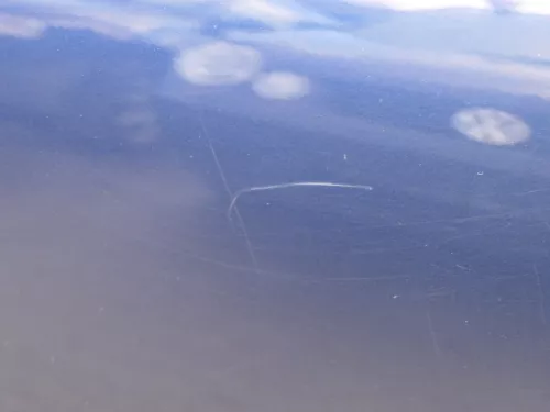 A4 B5 Tür nur Türblatt vorne links Fahrertür blau LZ5T Kombi od Limo (185060)