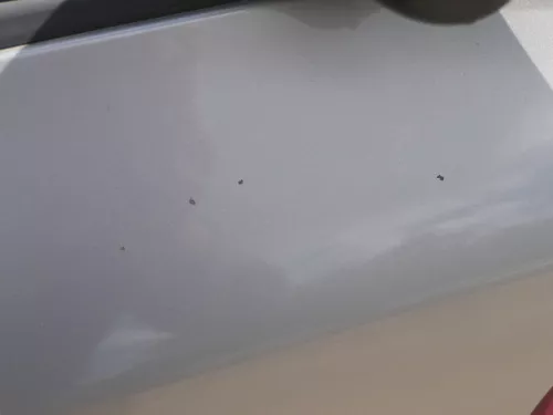 Fabia 5J Kombi + Limo Tür vorne links Fahrertür - braun LF8H -ohne Anbauteile (185112)