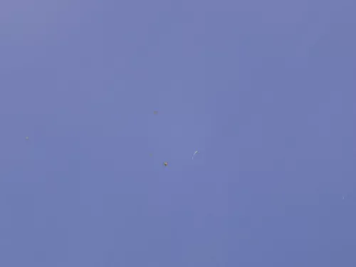 VW Golf 4 Motorhaube Haube Klappe vorne blau LW5Z (185163)