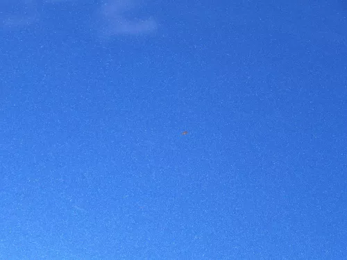 VW Polo 9N3 Cross Motorhaube KLappe vorne blau LA5K (185278)