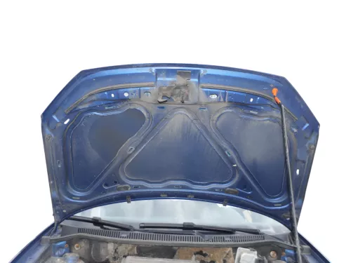 VW Polo 9N3 Cross Motorhaube KLappe vorne blau LA5K (185278)