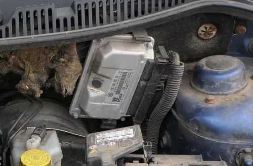 VW Polo 9N3 Ibiza Steuergerät 03C906057AG 1,6 16V BTS Motor Motorsteuergerät