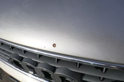 Audi A4 B6 8E Motorhaube Haube Klappe grau LY7Q atlasgrau +Grill (172044)