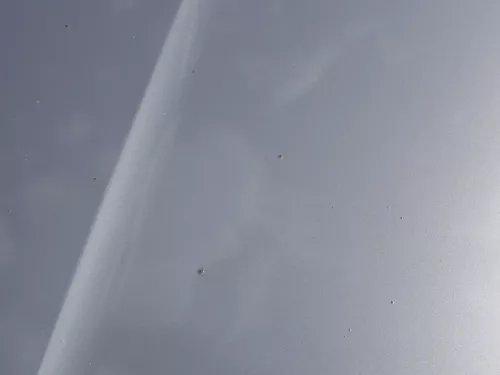 Skoda Octavia 1Z Motorhaube Haube Klappe vorne Cappuccino Beige LF8H mit Grill (185766)