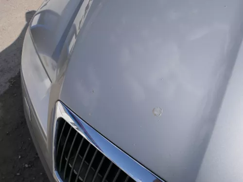 Skoda Octavia 1Z Motorhaube Haube Klappe vorne Cappuccino Beige LF8H mit Grill (185766)