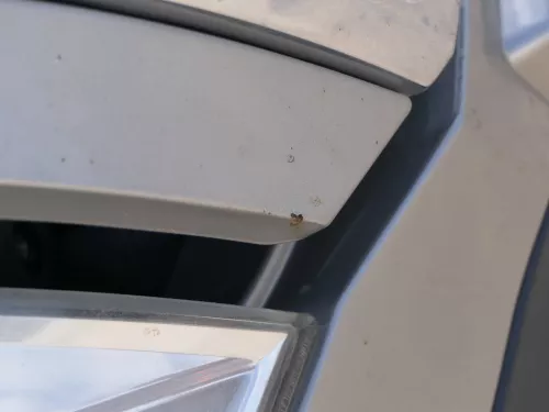 Skoda Octavia 1Z Motorhaube Haube Klappe vorne Cappuccino Beige LF8H mit Grill (185766)