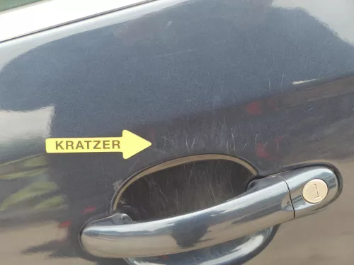 Golf 5 1K5+ Golf 6 nur Kombi / Variant Tür vorne links Fahrertür grau blau LC5F (186021)