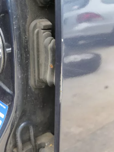 VW Golf 5 1K5 + Golf 6 AJ5 nur Kombi / Variant Tür hinten links blau blau LC5F (186022)