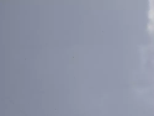 VW Golf 5 V 1K5 Jetta 1K2 Motorhaube Haube Klappe vorne silber LA7W (186064)