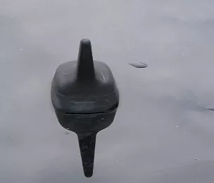 Audi A4 8K Antenne Antennenstab Antennensockel Sockel 8K9035503E schwarz (186163)