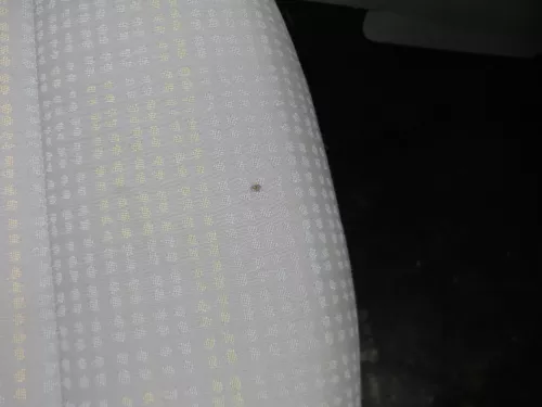 VW Caddy 3 2K für Post Sitz vorne rechts Beifahrersitz + Schiene + Gurt (186501)