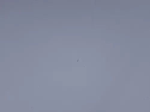 VW Touran 1T Caddy 2K Motorhaube Klappe Frontklappe Haube silber LA7W (186544)