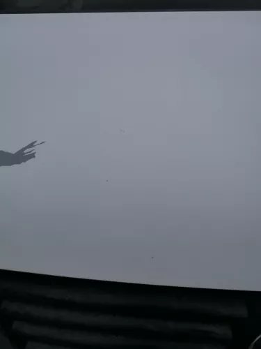 VW T5 Multivan Motorhaube Haube Klappe vorne weiß R902 (186889)