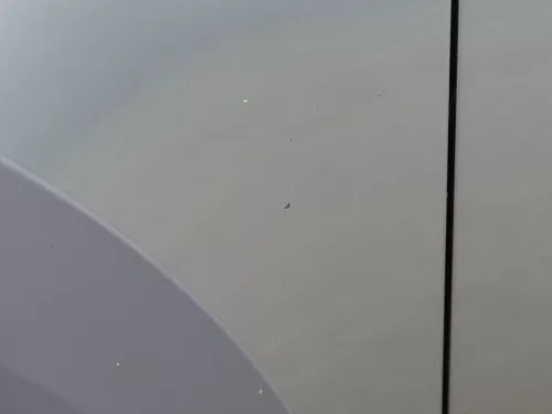 Audi A6 4F C6 Kotflügel vorne links grau LY7E Allroad Quattro 4F0821103E +Leiste (187000)