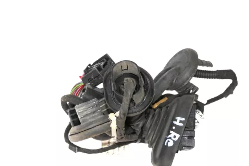 A6 4F Kabelbaum Tür Türkabelbaum ZV hinten links 4F1971687N 4F1971687A  BOSE (187033)